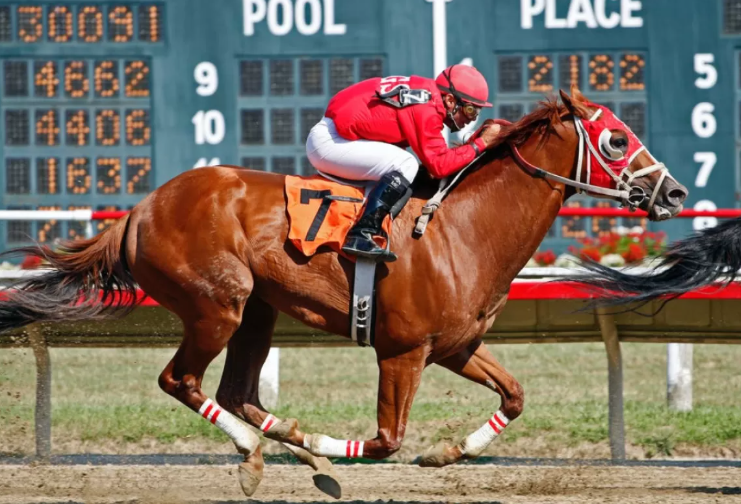 Common Myths About Horse Racing
