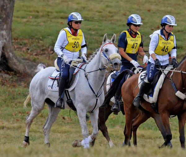 Conditioning Exercises for Racehorses