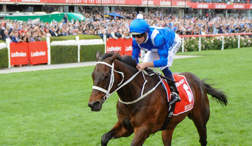 Cox Plate: Australia’s Premier Racing Challenge
