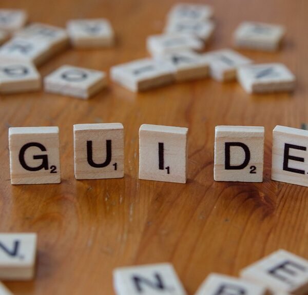 guide to 3309616815 details